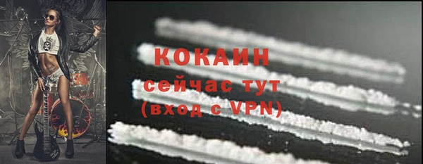 тгк Бородино