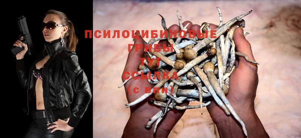 spice Бронницы