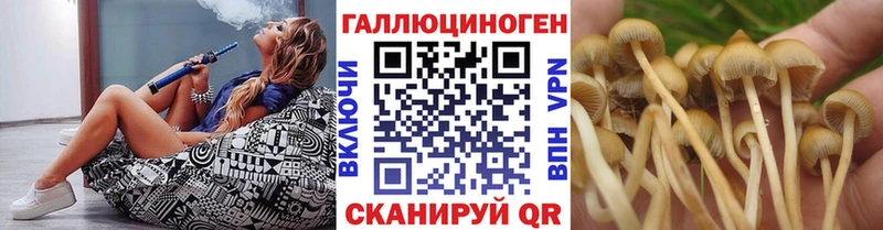 магазин продажи наркотиков  Мглин  Псилоцибиновые грибы ЛСД 